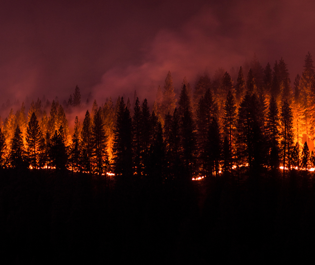 RTI to Study Communication of Wildfire Health Risks | RTI