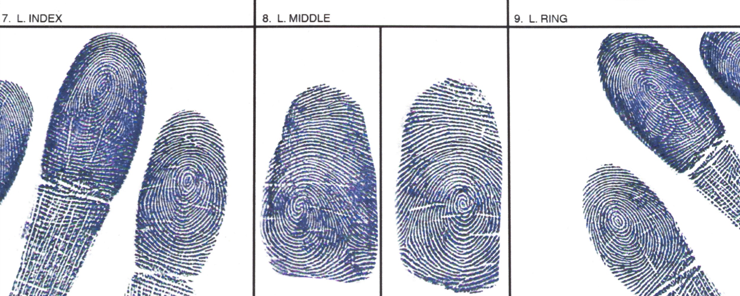 Отпечатки пальцев в криминалистике