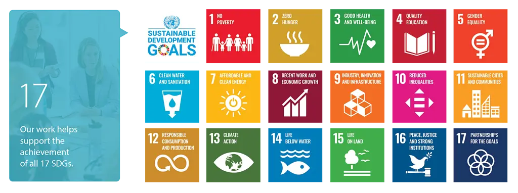 17 Sustainable Development Goals