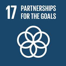 Navigate to Goal 17: Partnerships for the Goals